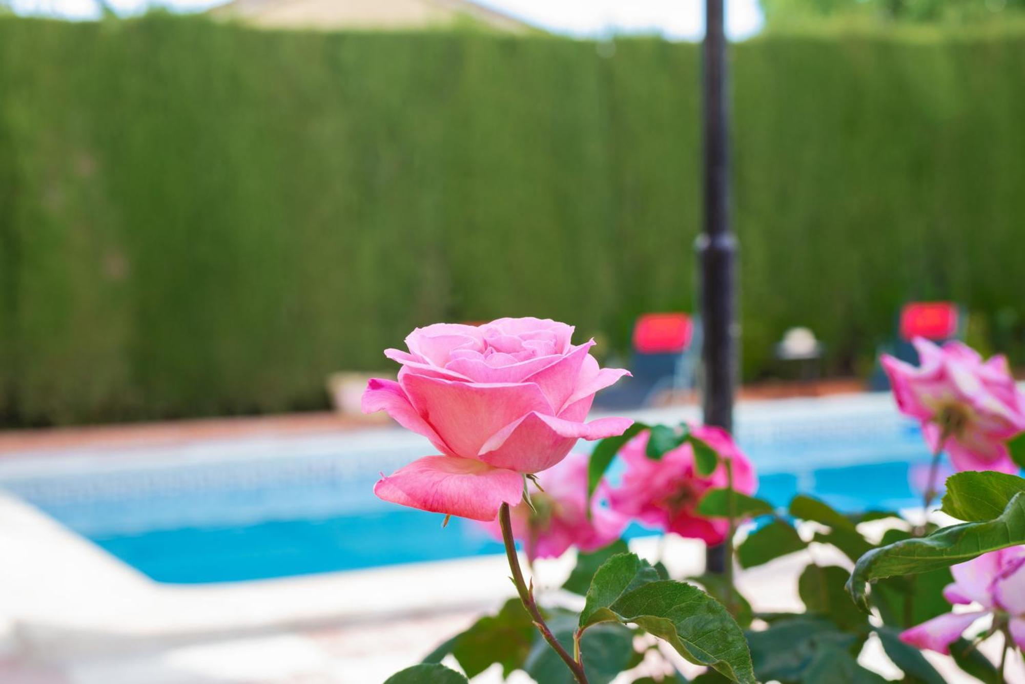 Villa Granada Garden Deluxe موناتْشيل المظهر الخارجي الصورة